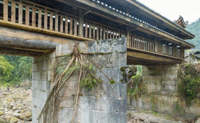 两代人接力7年建一座桥：重庆深山里的“愚公移山”，感动很多人