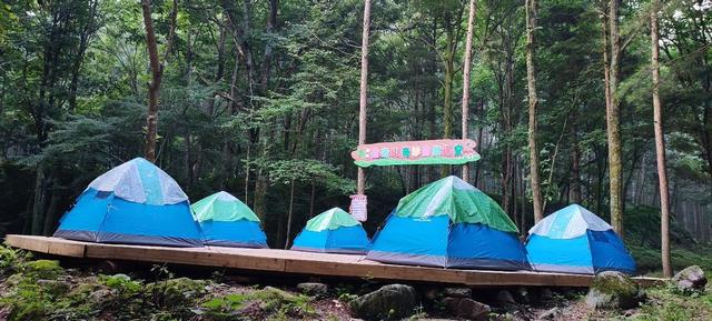 伏牛山世界地质公园内 三个“5A”景区为什么都能火爆出圈