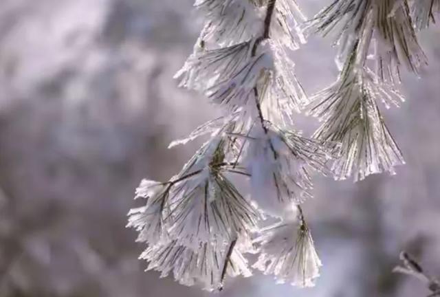 23点冬至	，“白天冬至冰三尺，晚上冬至穿单衣”，今年冬至在哪？