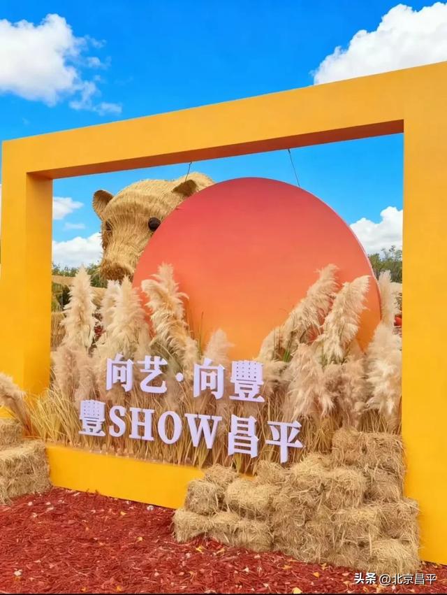 最后 1 天倒计时!错过真要等一年!