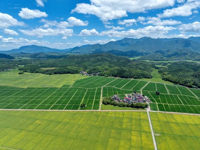 中央定调！基层大排查启动，要你实话实说