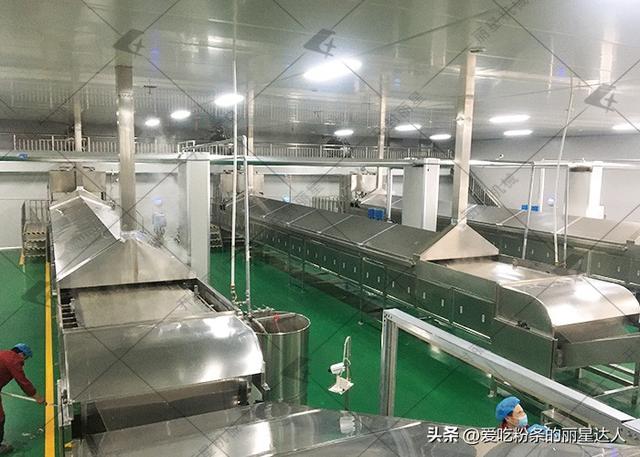 优化粉条加工工艺：自动化生产线适配大型工厂需求