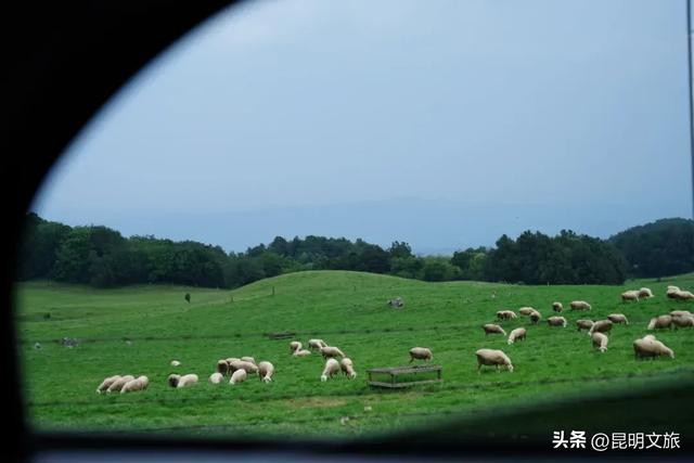 保姆级攻略来了！昆明向北，远离喧嚣拥抱旷野，去大自然里尽情撒野吧~