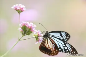 中年女人把以下“隐私”分享给你，就是爱你入骨，别不懂图片