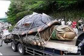 山西黄河巨龟之谜#奇闻奇事 #奇闻异事图片