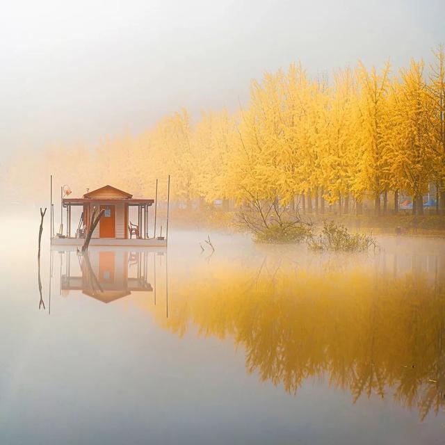 秋天的色彩，染在树上，也映在了水里