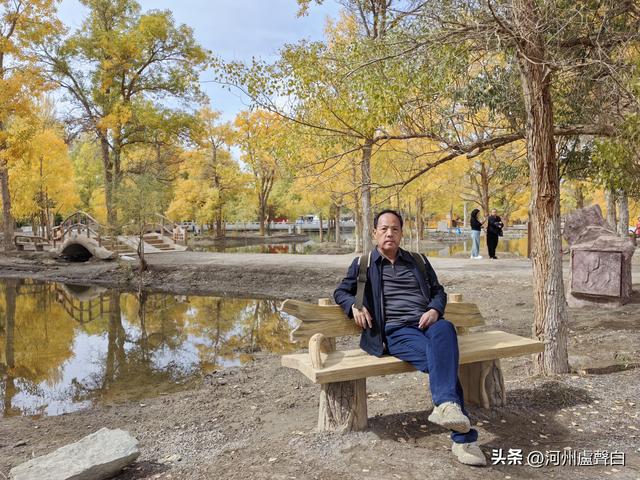 金塔胡杨林