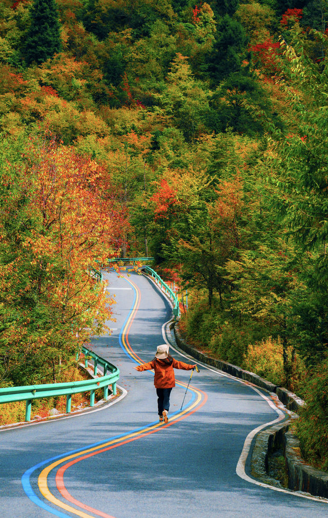 喇叭河红叶巅峰期打卡攻略，彩林秘境+野生萌兽，秋假带娃研学首选！