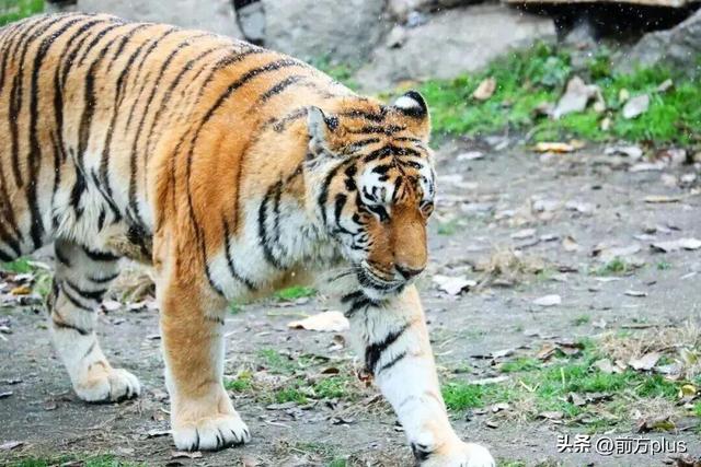 半价游西安！冬日景区福利上线