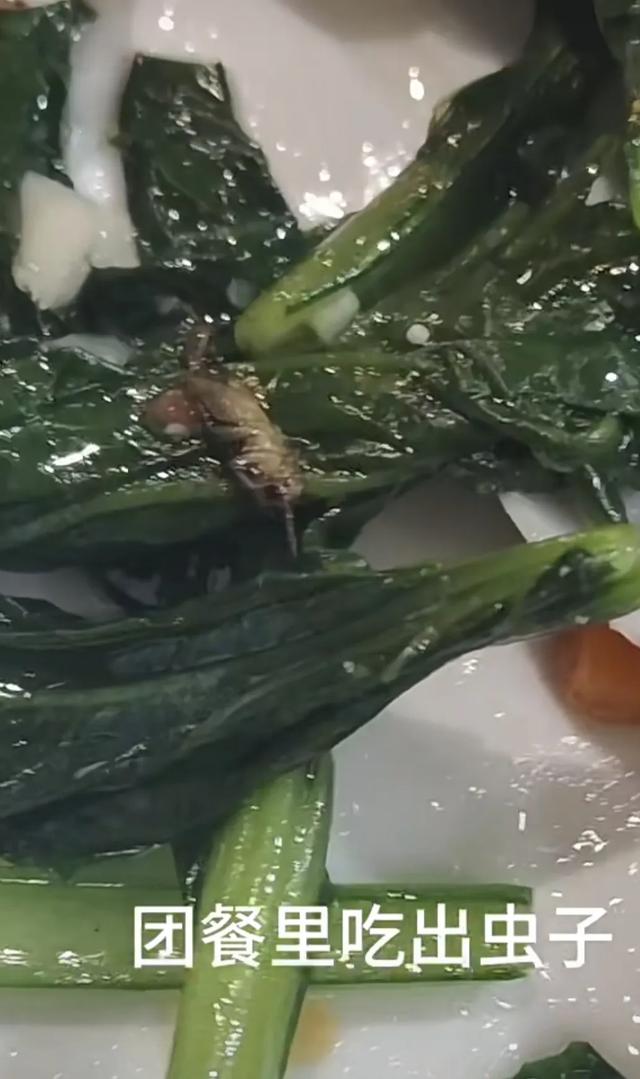 刚从旅游团逃出来,真想骂人