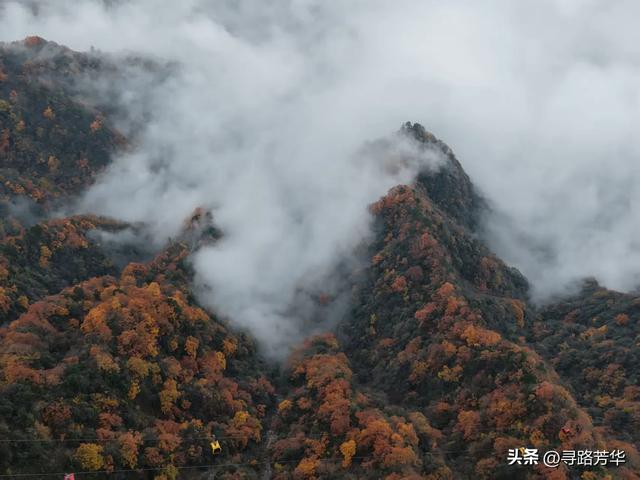 穿行在汉中龙头山的丛林之中