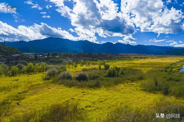 泸沽湖草海差点把我看吐了,到处是油画般的场景,能不能别这么美