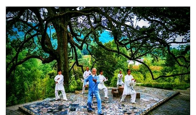 大松大软（3）之入太极：脱胎换骨——独立守神——大药如阳