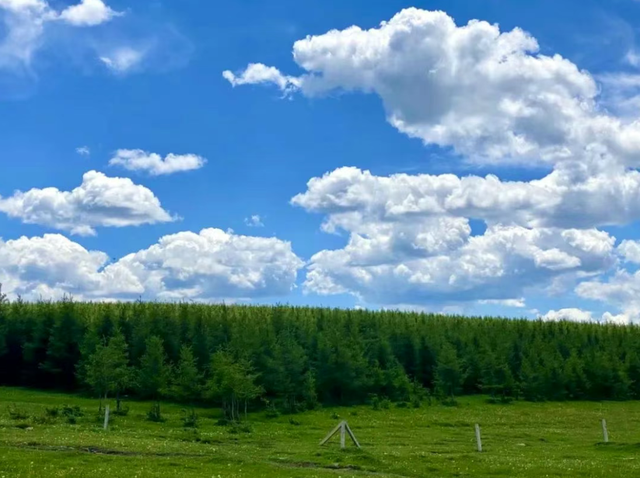 25°C的夏天？呼和浩特的草原避暑秘境藏不住了！