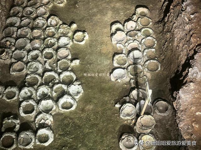 比南风古灶早千年！佛山高明文化地标：岭南陶瓷的“唐代”古窑