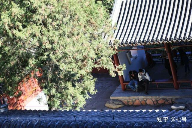 在八大处，寻到了北京最美的秋