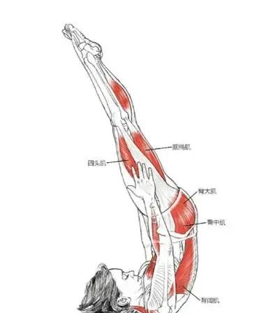 倒立是最高级的保养，每天5分钟，坚持半年	，脸上的皱纹真的淡了