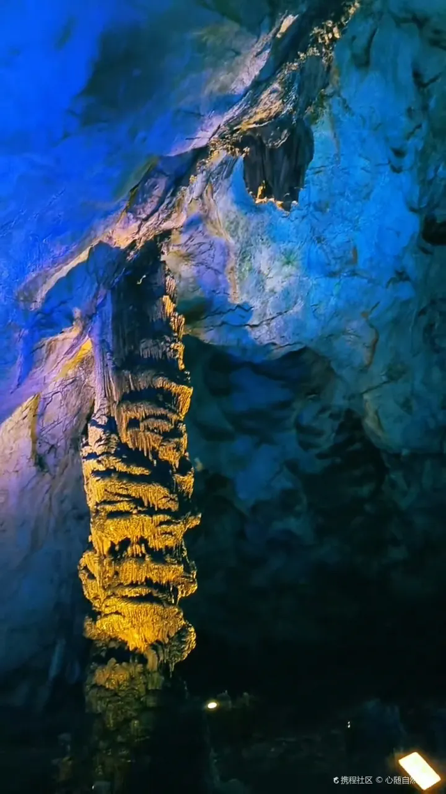 别等春天！陇南的冬日密语里，藏着限定版春日烂漫