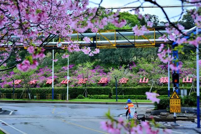 三条工业旅游线路,解锁韶关硬核外壳下的柔情往事~