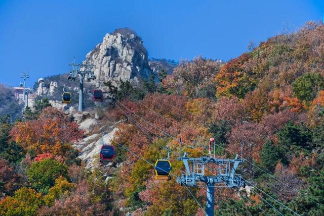 重阳孝心免票周来袭！10.27-11.2，速领全家福，共赴天蒙赏金秋！