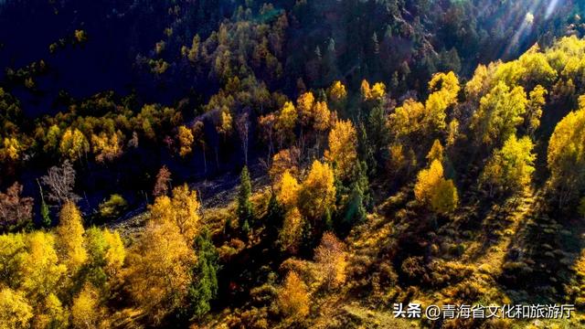 秋风叩黄南，一场与山水私语的秋日浪漫邀约