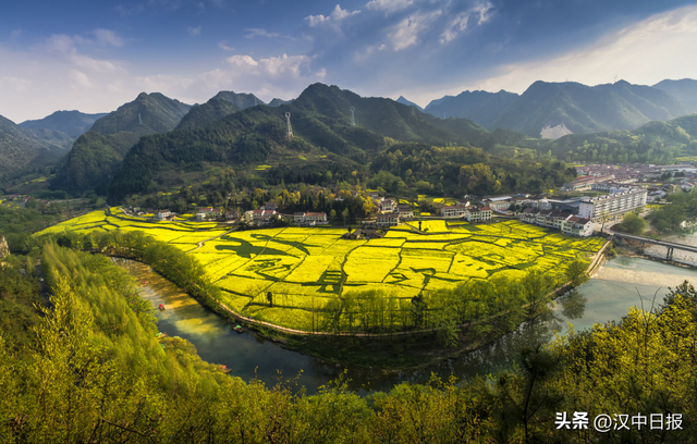 来汉中赴金色之约！这份观花攻略请收好→