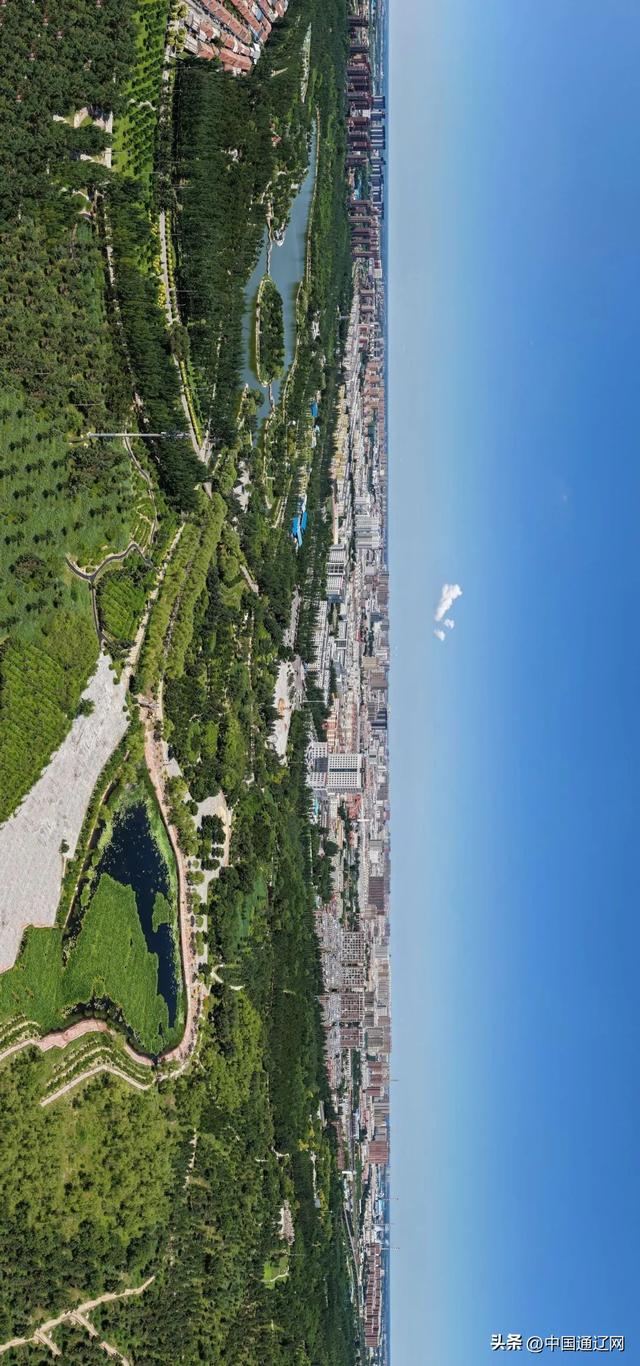 森林公园：市民休闲的“幸福角”