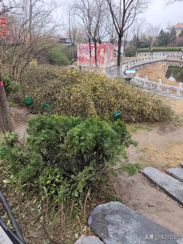 马年初10独自开封清明上河园记。