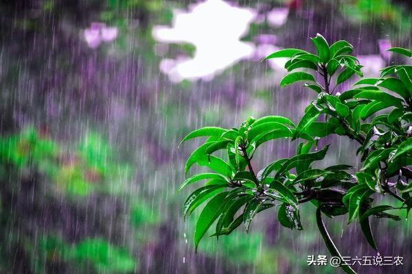 “不怕中元节的鬼，就怕中元节的水”，今日中元节，为啥怕下雨？