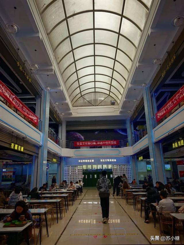 【石家庄】河北经贸大学银杏节预览，随手一拍都是壁纸