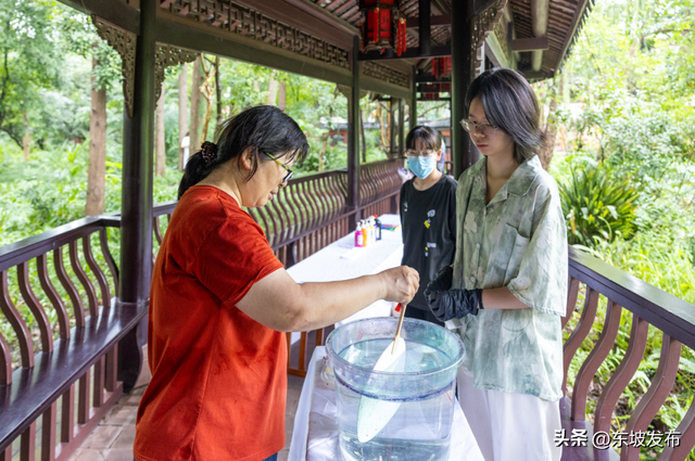 东坡家的荷花开了！眉山“荷你有约”点燃夏日文旅热