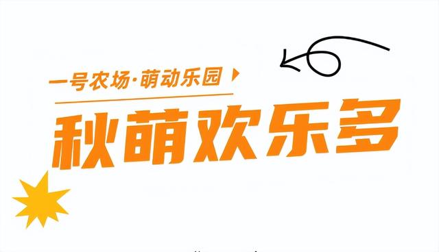 不敢相信，就这么水灵灵地开学了......