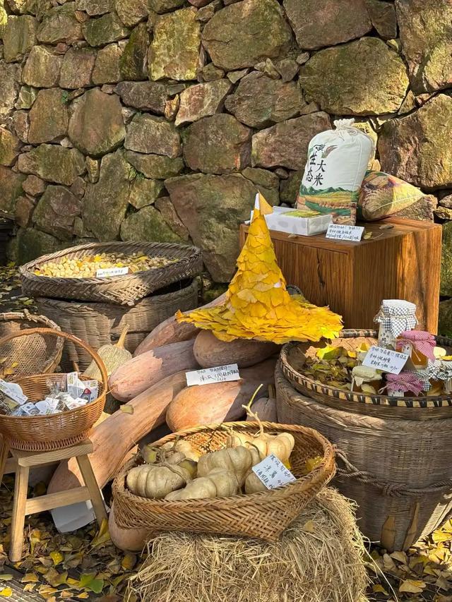 邵阳人藏不住的秋冬快乐!这些“金色浪漫”,@所有人来约!