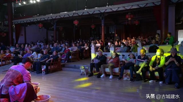 移动的星级酒店 邂逅千年古城！“熊猫专列”再度驶入建水