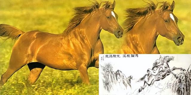 十二生肖折纸系列之马篇