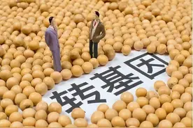 ​中国独立研发的51款转基因种子，获批上市图片