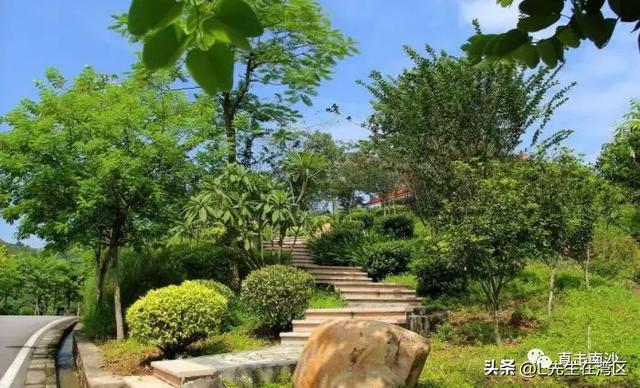 即将开工！！申报国家级度假区旅游目的地！南沙城央迎超级利好！