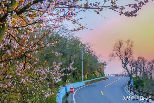 2026年的最大心愿，就是集齐泗礁岛这些美好瞬间！