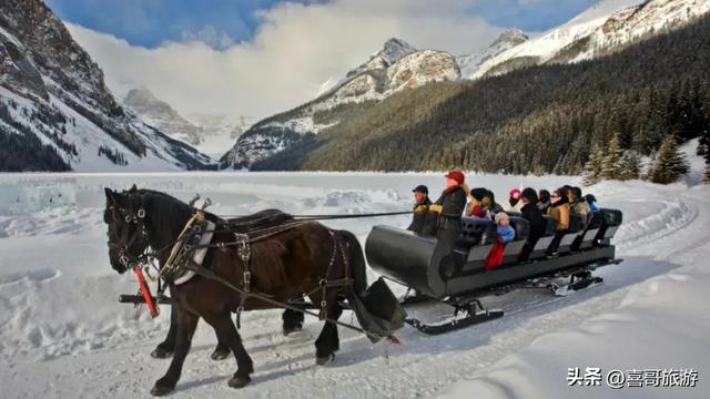 穿梭冰雪童话：哈尔滨雪橇梦幻之旅
