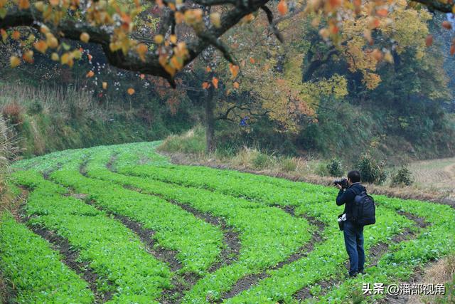 秋色塔川，无梦到徽州