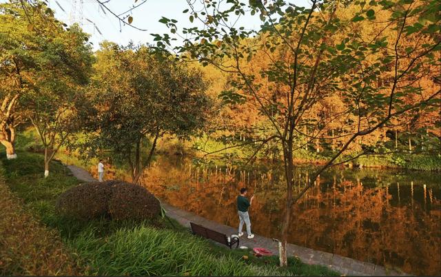 出发！感受两江绝美秋色 邂逅一园烂漫