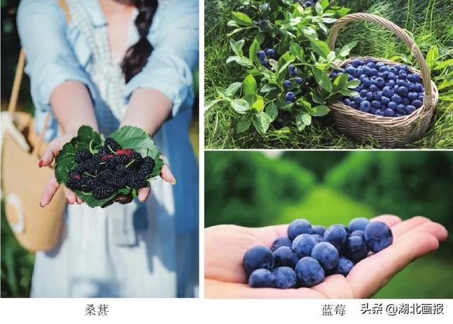 【知音湖北·魅力之城】十一不用去远方，黄陂就是好地方！