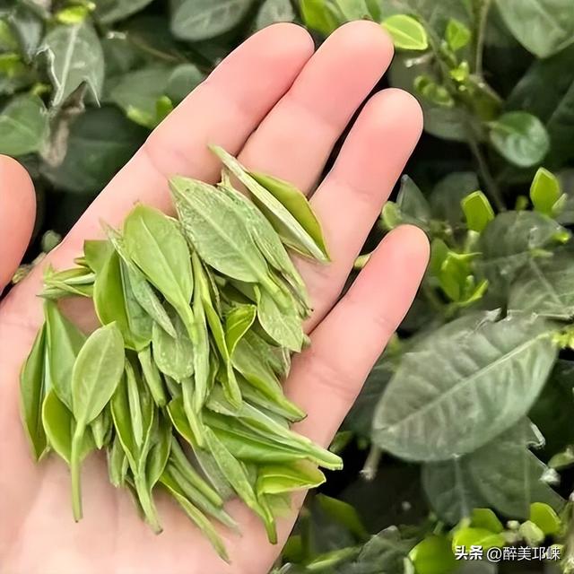 秋天想找个古镇慢下来？邛崃这两座千年古镇，来了就不想走！