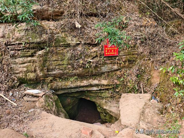 成都徒步（66）·邛崃篇⑥皮缝峡谷·皮缝古道