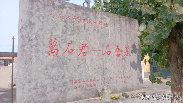 温县古墓藏惊喜，一家子竟都是朝廷高官