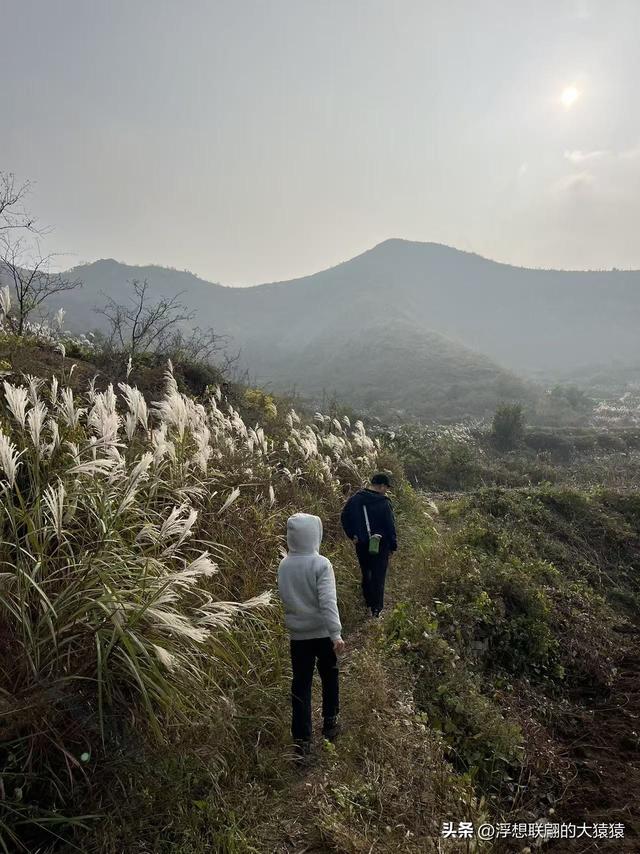 老姑峪的大寨没寻着，误打误撞跑去了张家台的麒麟寨（莱芜游）