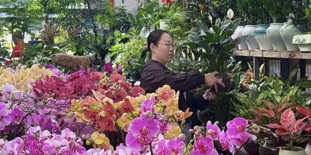 花花花！人人人！火火火！肥城这里简直不要太火爆了…