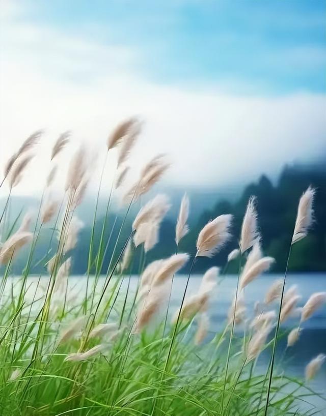 美文｜秋风撩起秦淮河唐装女孩的裙摆，落叶飘荡在宽阔的玄武湖面