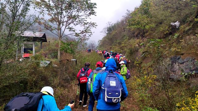 雾锁风挡山，红叶引客来