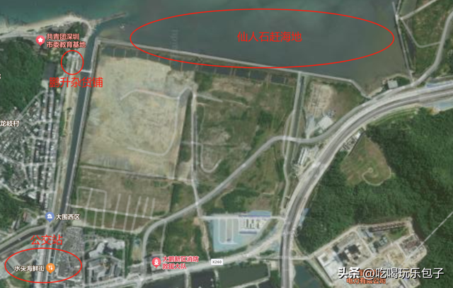 深圳2025年6月，赶海退潮时间